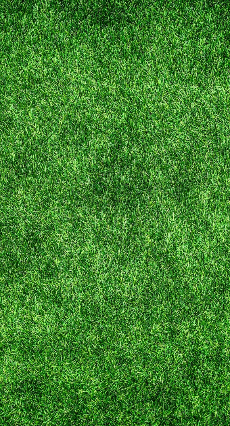 Eco-Friendly Decor Elements