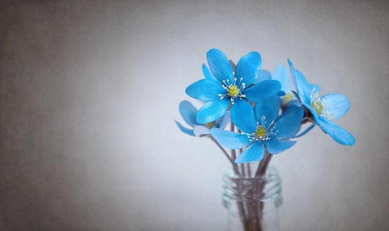 Cascading Bouquet