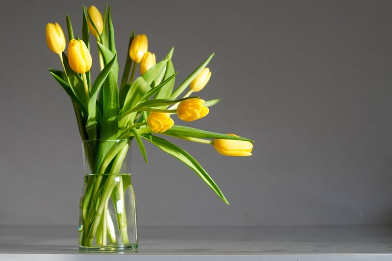 Fresh Flowers
